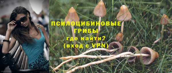 дмт Арсеньев