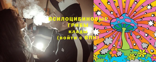 дмт Арсеньев
