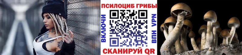 Галлюциногенные грибы прущие грибы  дарнет шоп  hydra маркетплейс  Харовск 