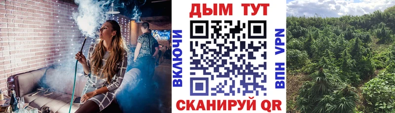 как найти   Харовск  Бошки Шишки конопля 